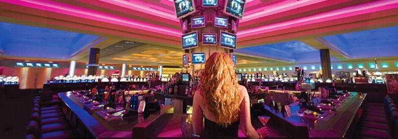 Seminole Hard Rock Hotel And Casino タンパ エクステリア 写真