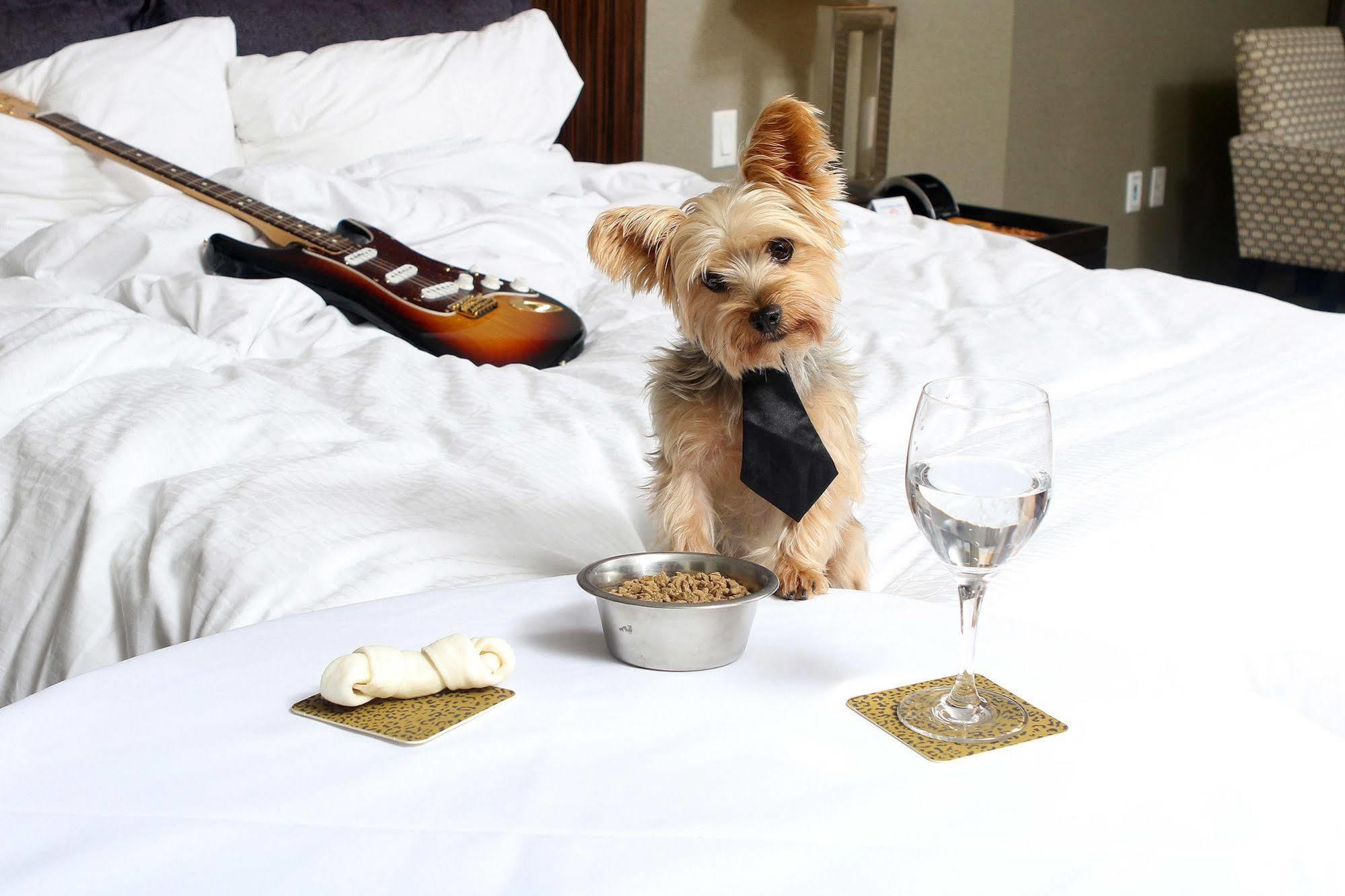 Seminole Hard Rock Hotel And Casino タンパ エクステリア 写真